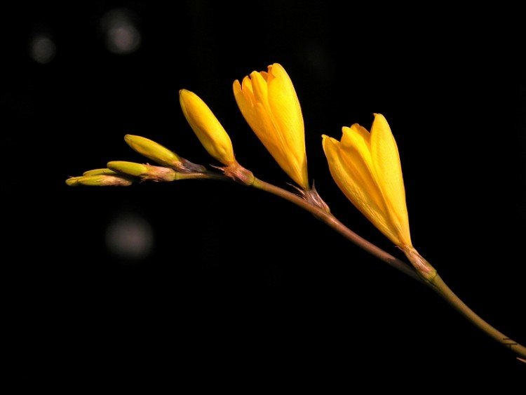 DSCN1667.jpg