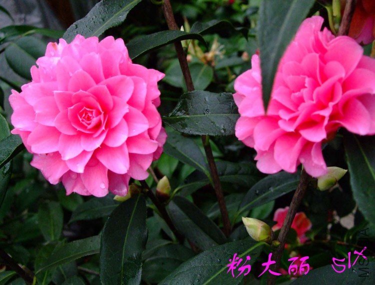 �۴��� 10-3-24f (2).jpg