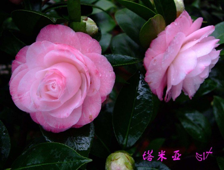 ������ 10-3-24f (1).jpg