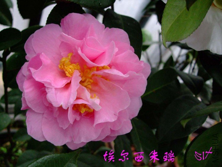 ������  10-3-24f (2).jpg