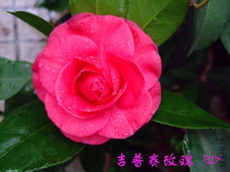 ������õ�� 10-3-24f (1).jpg