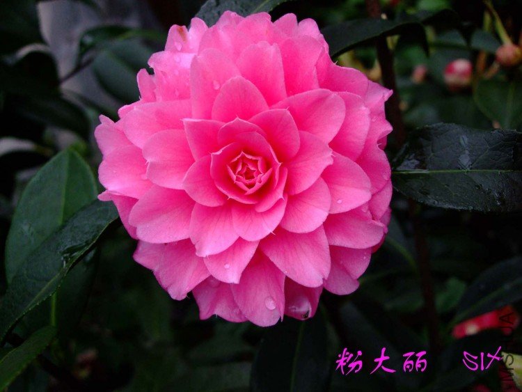 �۴��� 10-3-24f (3).jpg