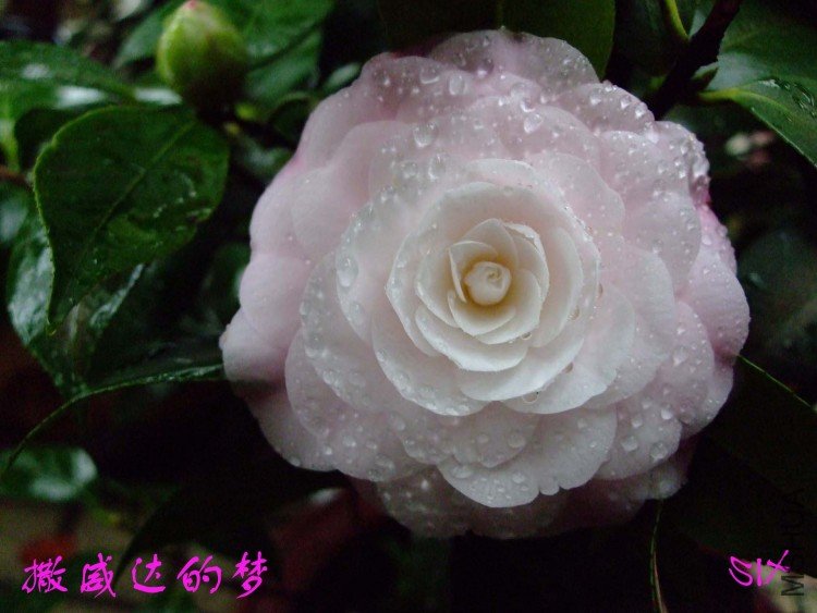 ����  10-3-24f (2).jpg