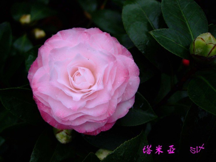 ������ 10-3-24f (2).jpg