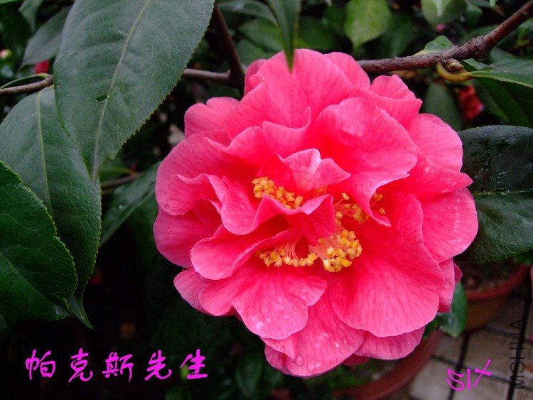 ����˹  10-3-24f (2).jpg