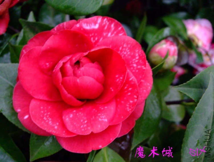 ħ���� 10-3-24f(1).jpg