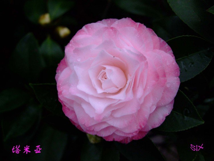 ������ 10-3-24f(1).jpg