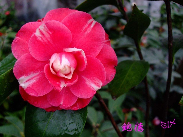 ���� 10-3-24f (2).jpg