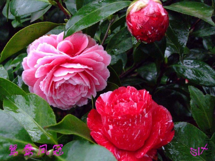 ԧ���� 10-3-24f(1).jpg