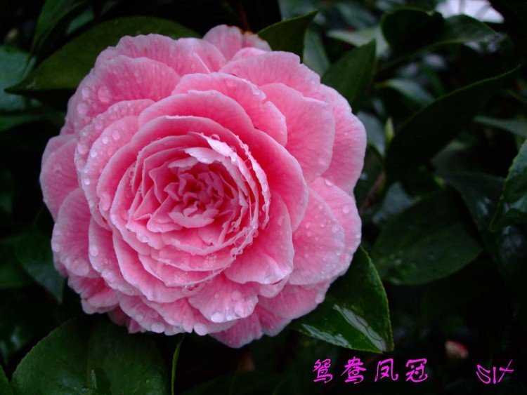 ԧ���� 10-3-24f (2).jpg