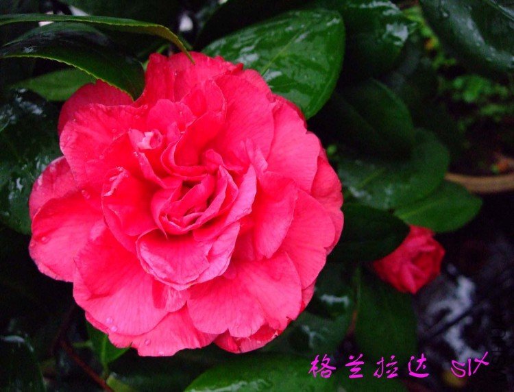 �������� 10-3-24f(1).jpg