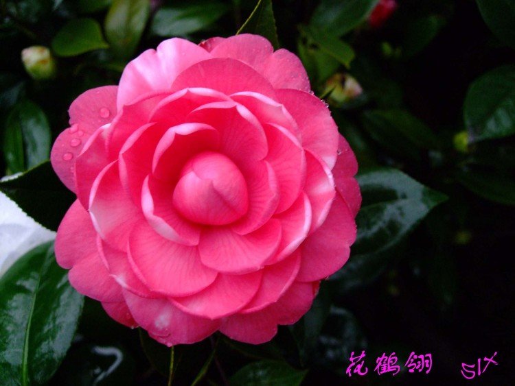 ������ 10-3-24f(1).jpg