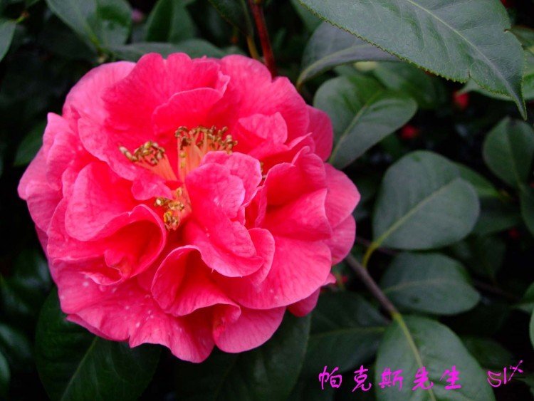 ����˹  10-3-24f(1).jpg