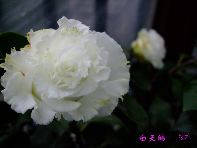 ����� 10-3-24f(1).jpg