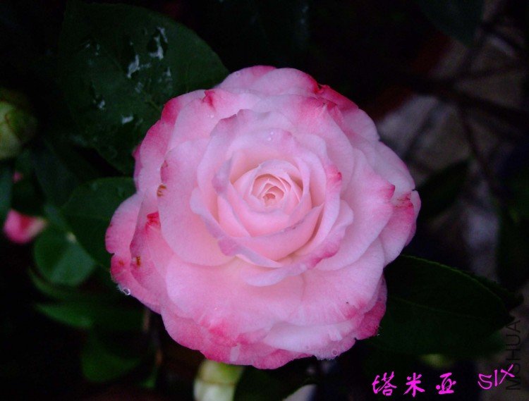 ������ 10-3-24f (2).jpg