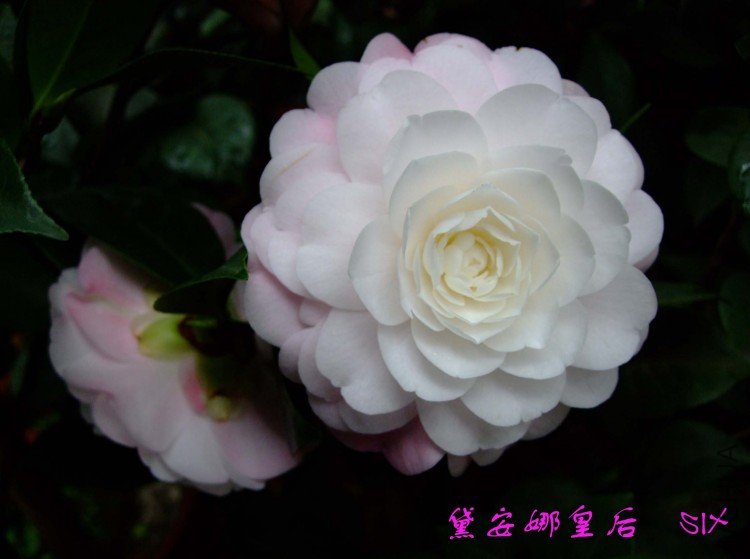 �찲�Ȼʺ�  10-3-24f(1).jpg