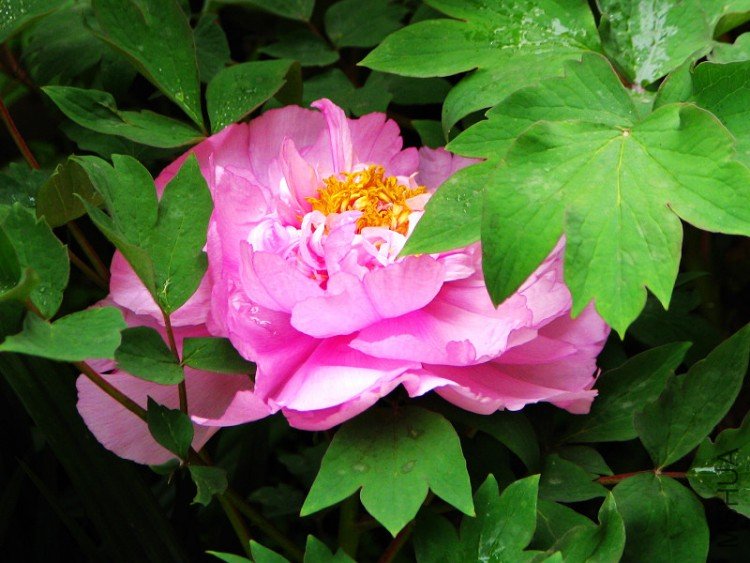 ��������.����.����.�軨��ĵ������ 051.jpg