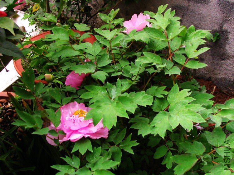 ��������.����.����.�軨��ĵ������ 054.jpg