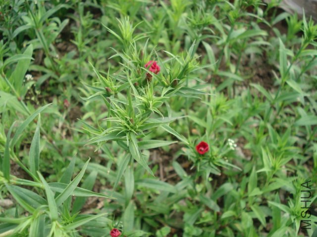 DSC03598.JPG