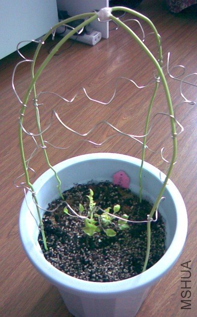 �����¼������ĸ�����