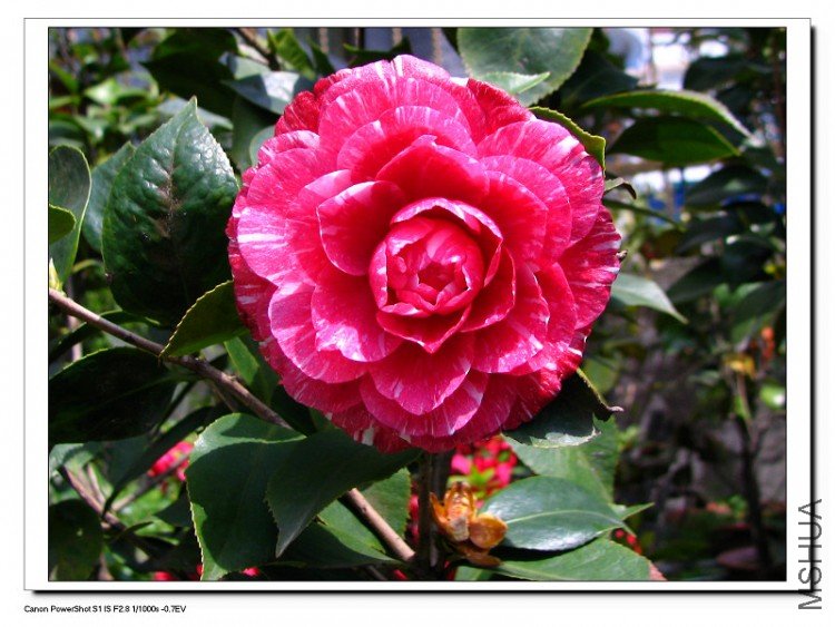 ��������.����.����.�軨�� 019.jpg