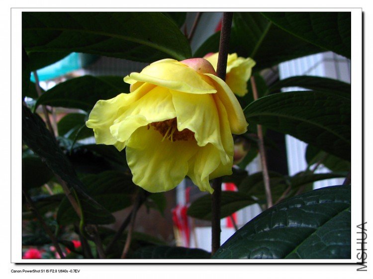 ��������.����.����.�軨�� 016.jpg