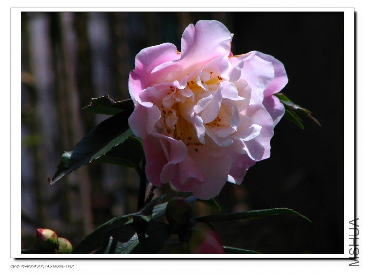 ��������.����.����.�軨�� 024.jpg