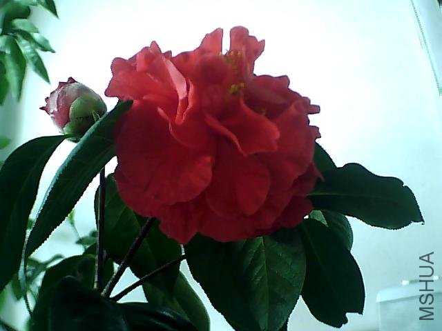 ͼƬ 011.jpg