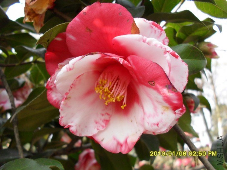 ����֮��