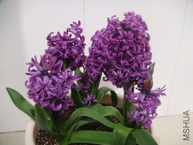 DSC01062.JPG