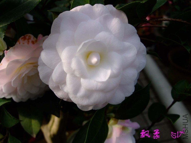 Ʈ�� 10-3-26 (3).jpg