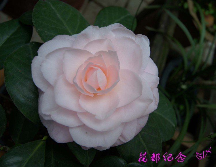 �������� 10-3-26.jpg