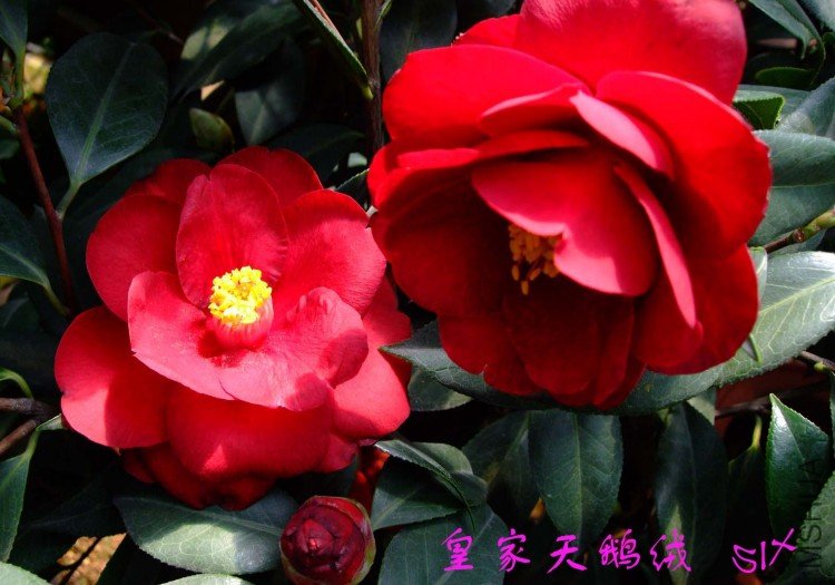 �ʼ������ 10-3-26 (2).jpg