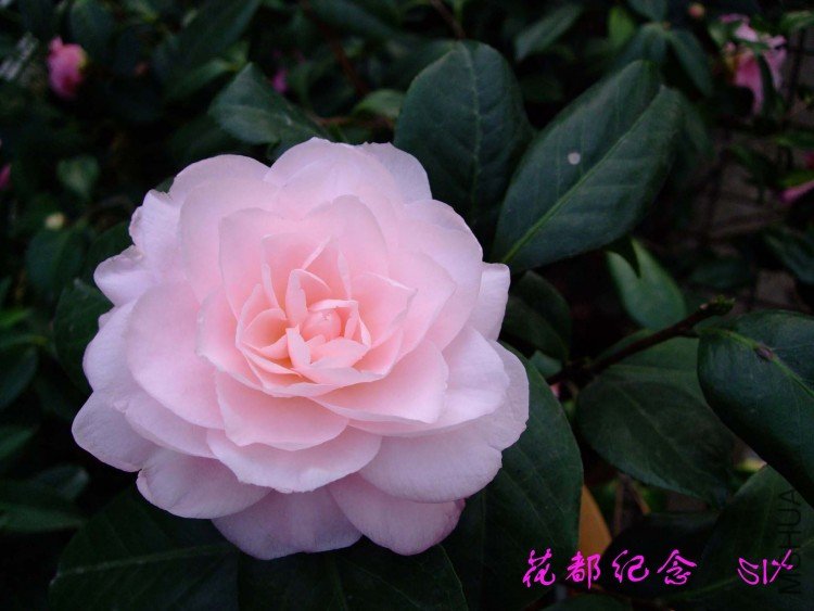 �������� 10-3-26 (1).jpg