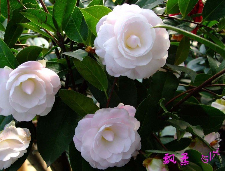 Ʈ�� 10-3-26 (4).jpg