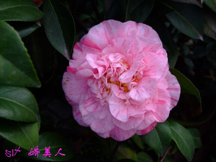 ������ 10-3-26 (2).jpg