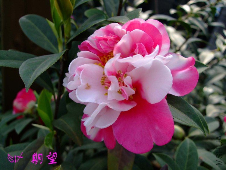 ���� 10-3-26 (1).jpg