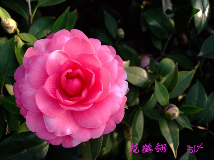 ������ 10-3-26 (1).jpg