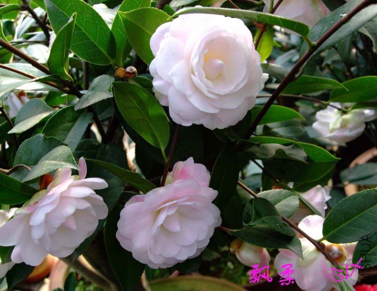 Ʈ�� 10-3-26 (5).jpg