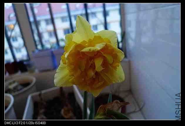 48_68218_125a40d9dae0dfd.jpg