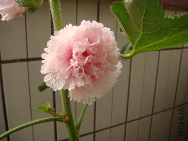 DSC00842.JPG