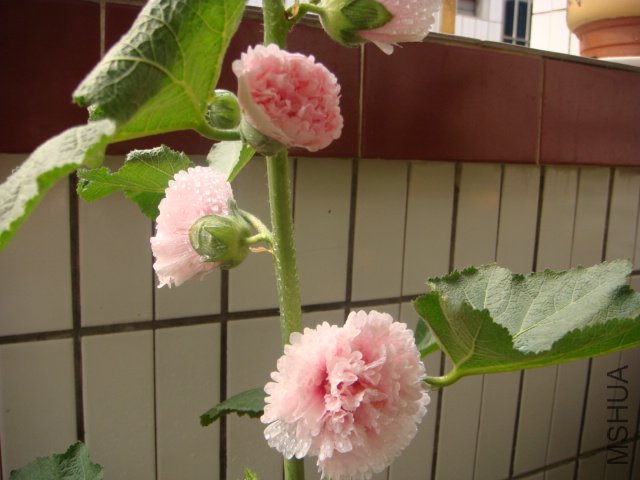 DSC00843.JPG