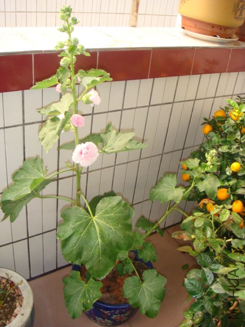 DSC00846.jpg