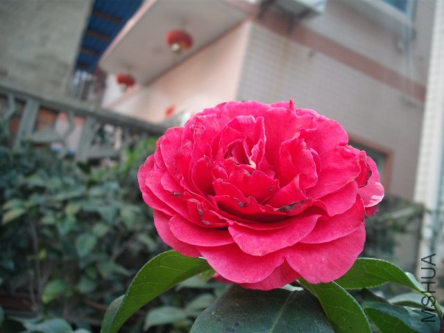 �³������������