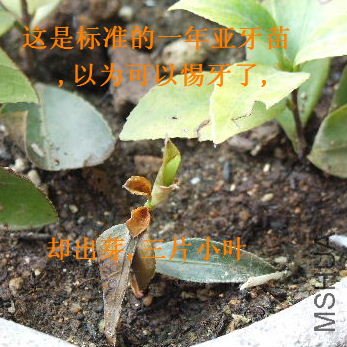 2010_03250018.JPG