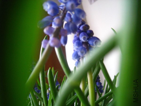 ���ѷ�����