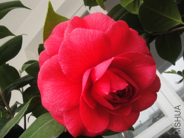 DSC01372.JPG
