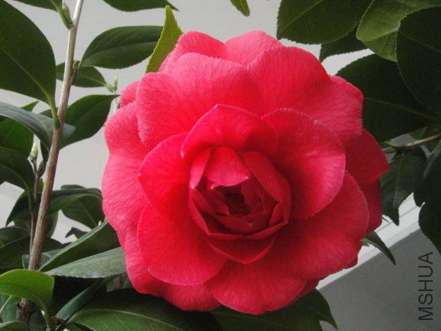 DSC01373.JPG