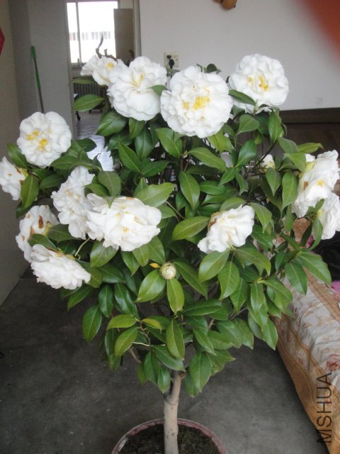 DSC01395.JPG