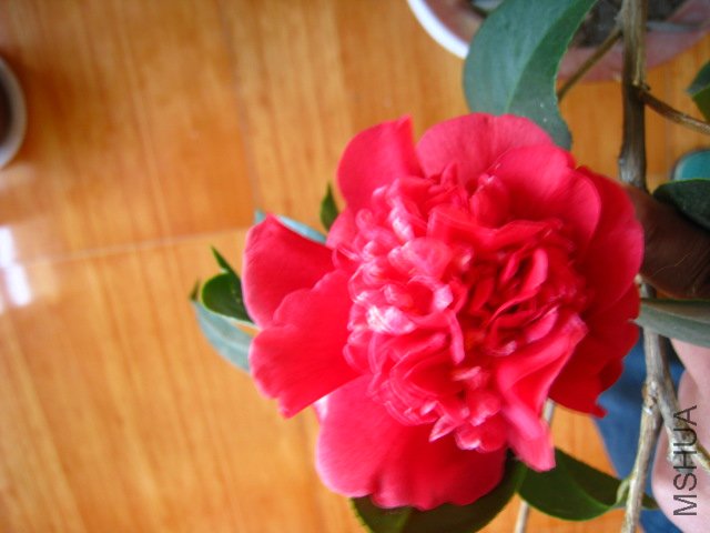 ��Ƭ 044.jpg